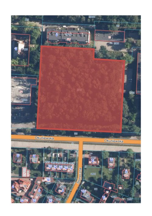wydruk17441026621295586786.pdf